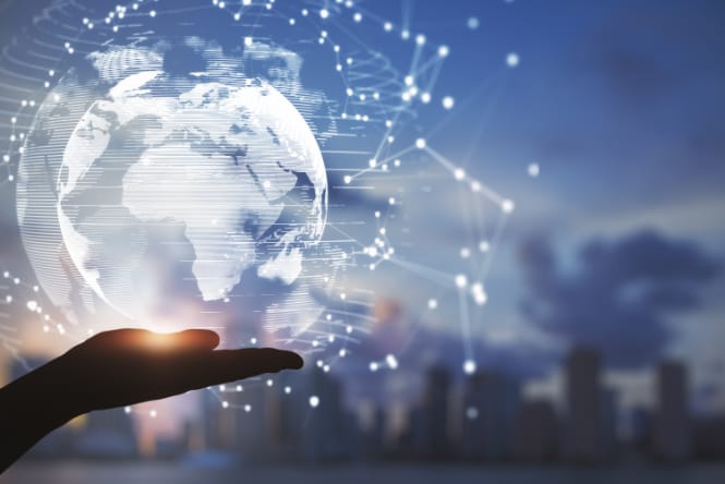 nizmara executive search markets